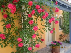  Romantische Ferienwohnung****