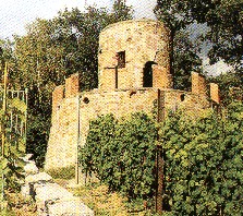 wartturm