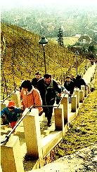 Spitzhaustreppe